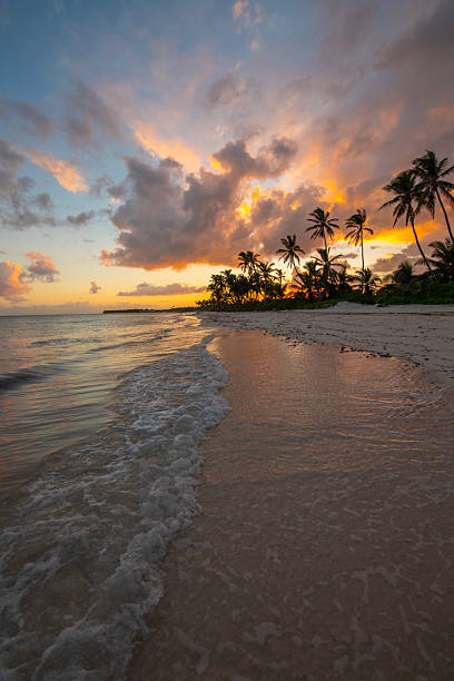 istock Punta Cana, Dominican Republic 2238977505