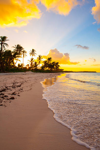 istock Punta Cana, Dominican Republic 2238977507