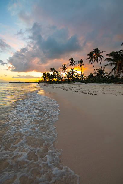 istock Punta Cana, Dominican Republic 2238977645