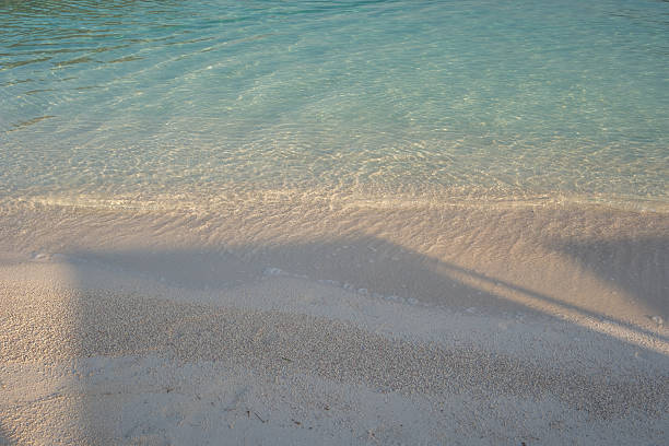 istock Calm turquoise sea and gentle shore wave with soft morning light 2238977785