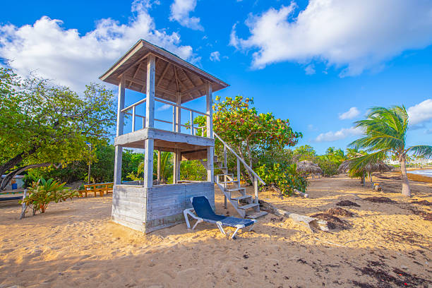 istock Macao Beach, Dominican Republic 2238978722