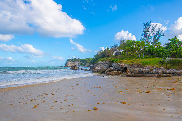 Macao Beach, Punta Cana, Dominican Republic