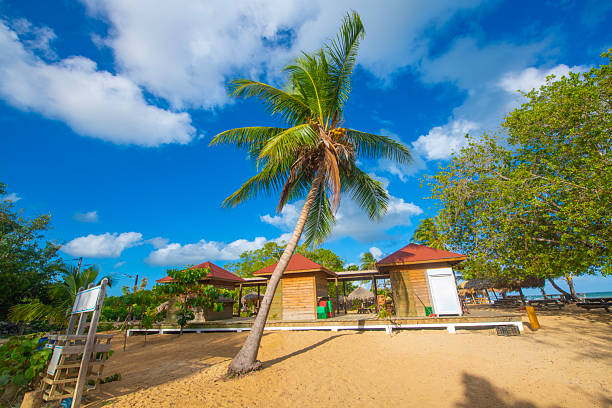 Las Galeras beach, Samana peninsula, Dominican Republic
