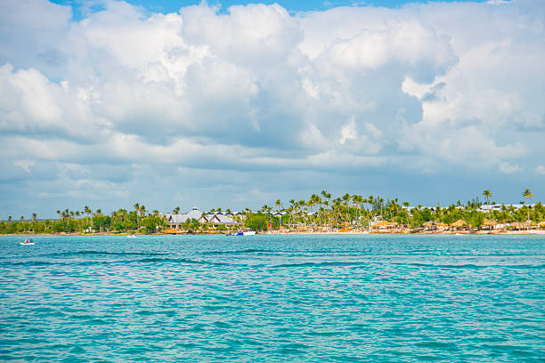 A sun lounger and palm at exotic beach with white sand. The Dominican Reepublic.