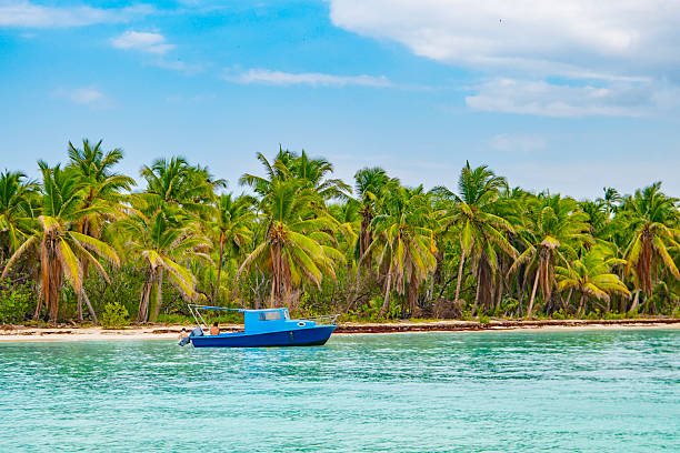istock Saona Island, Dominican Republic 2238981327