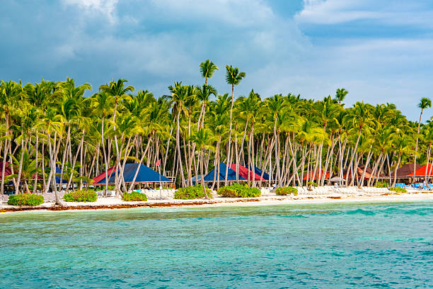 istock Saona Island, Dominican Republic 2238981710
