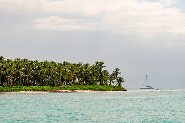 istock Saona Island, Dominican Republic 2238981712