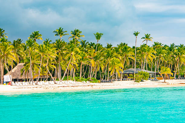 istock Saona Island, Dominican Republic 2238981845