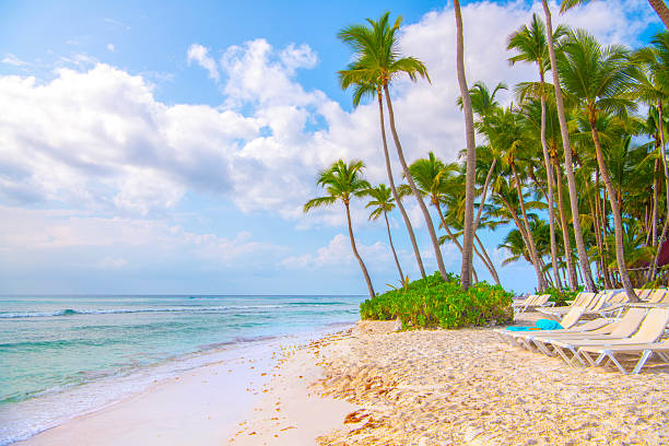 istock Saona Island, Dominican Republic 2238982271