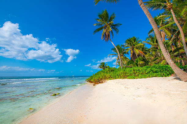 istock Saona Island, Dominican Republic 2238984767