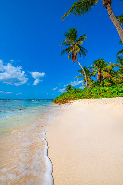 istock Saona Island, Dominican Republic 2238984774