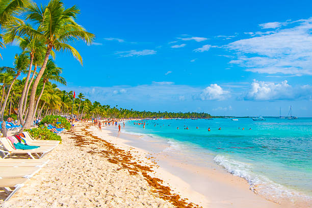 istock Saona Island, Dominican Republic 2238986517