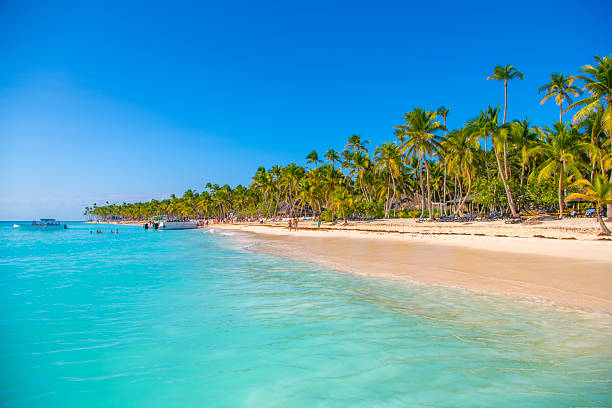 istock Saona Island, Dominican Republic 2238989847