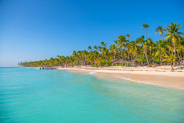istock Saona Island, Dominican Republic 2238989896