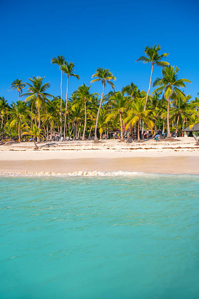 istock Saona Island, Dominican Republic 2238989964