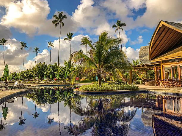 Reflection of palm trees over swimming pool