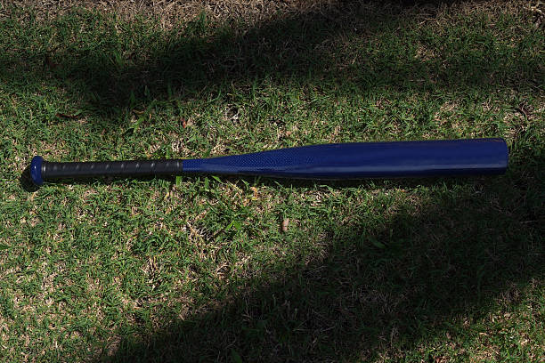 Baseball, Basketball, Football, Soccer, Beach Volleyball, Baseball Bats, Baseball Gloves, Baseballs