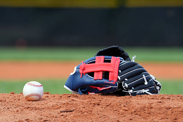 Baseball, Basketball, Football, Soccer, Beach Volleyball, Baseball Bats, Baseball Gloves, Baseballs