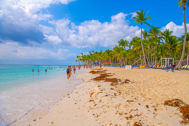 Saona Island, Dominican Republic-December 9, 2022- Tourists are enjoyng at Coconut Palm trees on white sandy beach in Caribbean sea, Saona Island, Dominican Republic.
