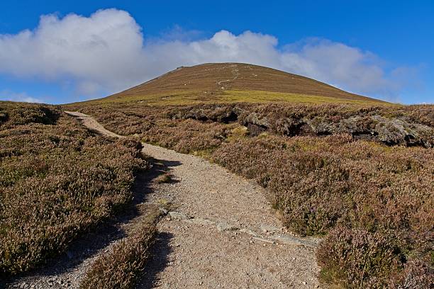 istock Ben Rinnes can be climbed from several start points.

The most obvious and straightforward route starts at the small car park in the 'Beatshach', the coll between Ben Rinnes and the Convals 2239001230