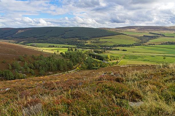 istock Ben Rinnes can be climbed from several start points.The most obvious and straightforward route starts at the small car park in the 'Beatshach', the coll between Ben Rinnes and the Convals 2239001561