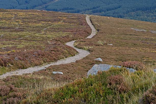 istock Ben Rinnes can be climbed from several start points.The most obvious and straightforward route starts at the small car park in the 'Beatshach', the coll between Ben Rinnes and the Convals 2239001567