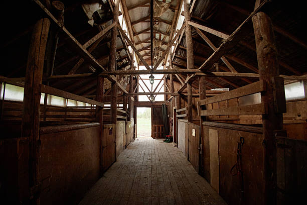 istock Empty Rustic Barn Interior Featuring Wooden Stalls and Sunlight Streaming in 2239001632