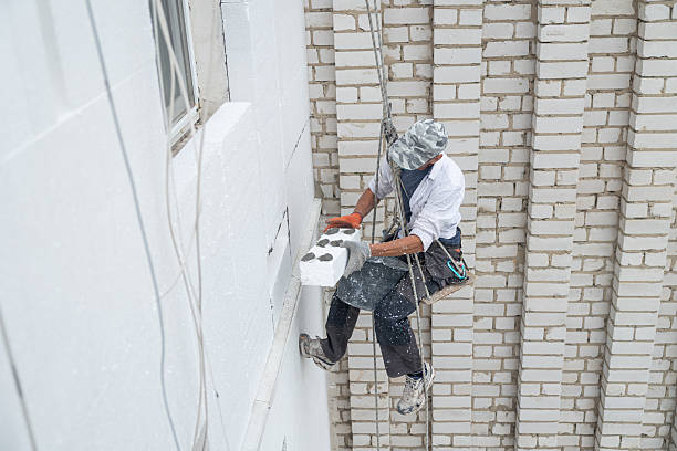 istock Construction worker insulating the exterior wall of a building with polystyrene panels at height. 2239004795