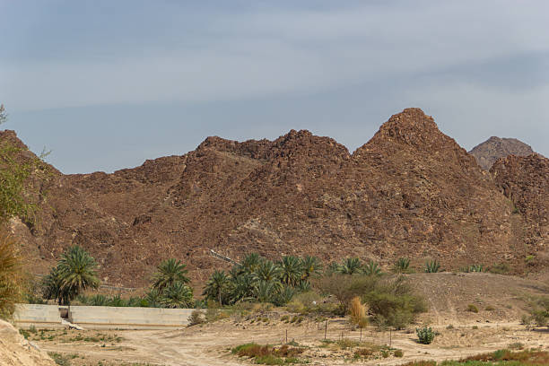 A medium, outdoor landscape shot featuring a small oasis of date palm trees and scrub vegetation nestled at the base of imposing, rust-red and brown rocky mountains. The foreground is dry, sandy earth with sparse plants, leading up to a low concrete wall and the dark green palm grove. The vast, rugged peaks dominate the background beneath a pale, hazy sky.