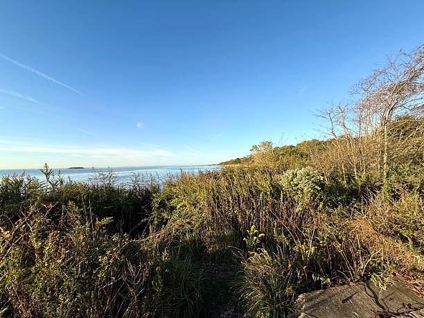 istock Fortress Trail Overlooking the Narrows 2239006203