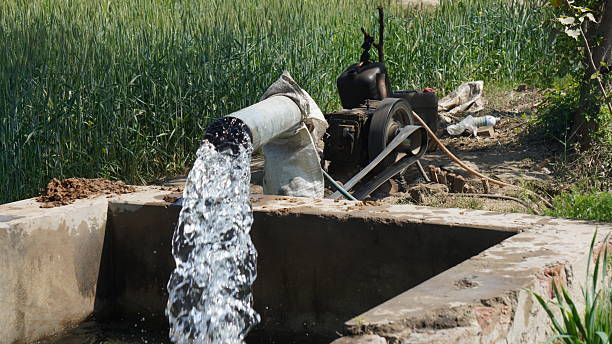 A close-up shot capturing a strong stream of water gushing out from a metal pipe and vigorously flowing into a concrete irrigation ditch. The water splashes as it enters the ditch, indicating active irrigation. In the background, a lush green field of crops is visible, underscoring the purpose of the water supply. The concrete and brickwork of the ditch show signs of age and use. This image vividly depicts agricultural irrigation, an essential process for crop cultivation in rural areas.