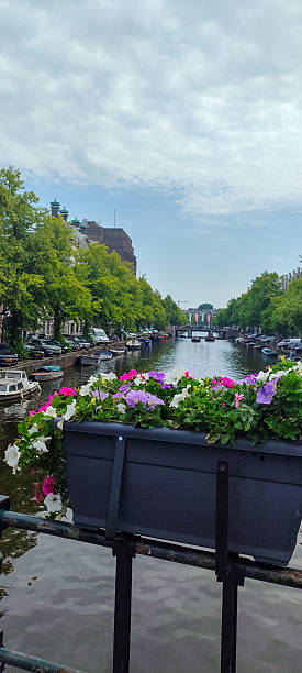 istock Amsterdam canal view with flowers in foreground 2239009773