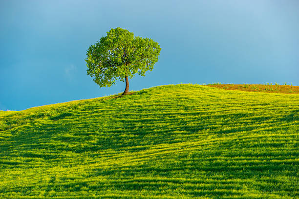 istock Tuscany, Italy 2239011812