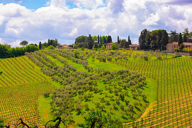 San Gimignano, province of Siena. Tuscany, Italy.