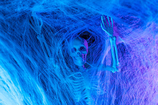 Spooky Halloween  skeleton in a spider web.Creepy Halloween Decor.Skeleton in the web in blue light