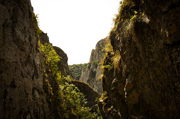 Low-angle shot looking up through a narrow, dramatic canyon. Steep, rugged limestone rock walls dominate the foreground, heavily shadowed on the sides. Bright sunlight streams from the overhead sky, highlighting patches of green moss and grasses clinging to the cliff faces.