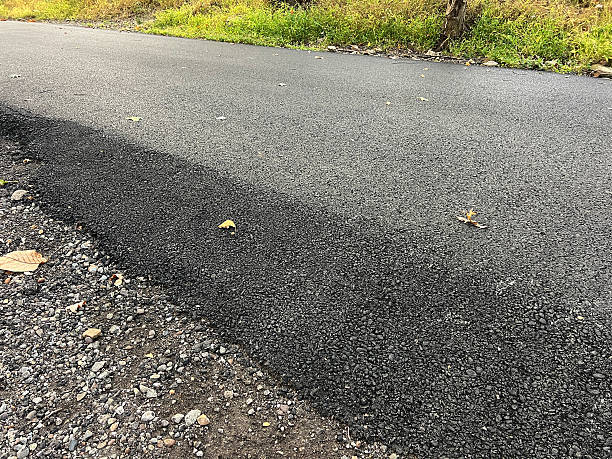 istock Asphalt Road in the Forest 2239029340