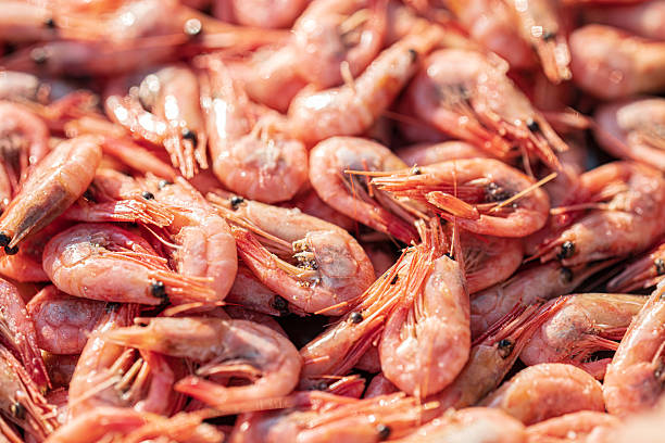 istock Freshly caught pink shrimp glistening in sunlight.. 2239029395