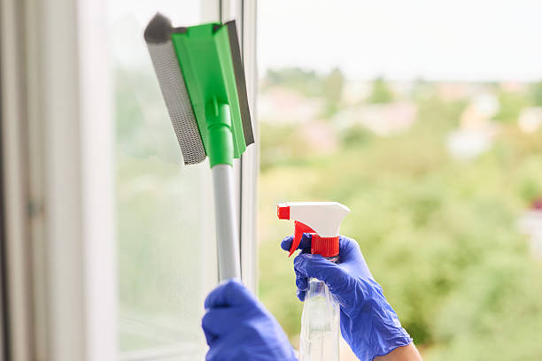 istock Blue-gloved hands wiping window glass, spraying cleaning solution with green squeegee for spotless, hygienic surface 2239035416