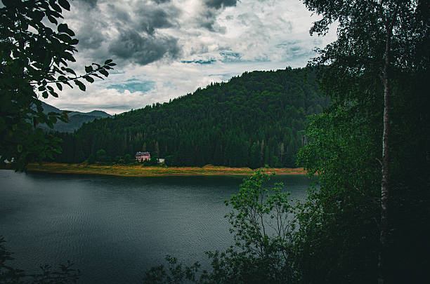 A dramatic, moody landscape featuring a dark, tranquil lake surrounded by a dense green coniferous forest. A solitary pink cabin sits nestled at the base of the massive hill, framed by foreground foliage under a stormy, cloud-filled sky.