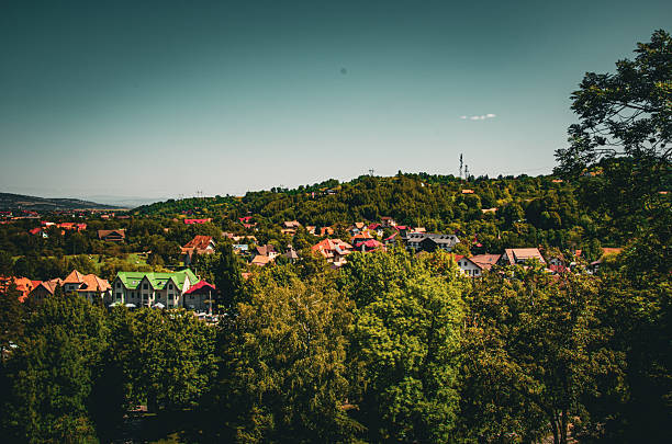 High angle shot capturing a dense residential area built into a vibrant green hillside forest. Traditional European houses with colorful roofs peek through the thick canopy under a clear summer sky.