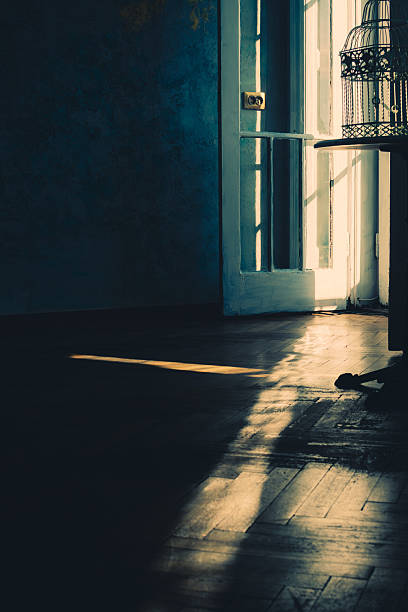 Warm sunlight streaming through an open vintage door, casting long shadows across a wooden floor with an ornate birdcage in the corner.