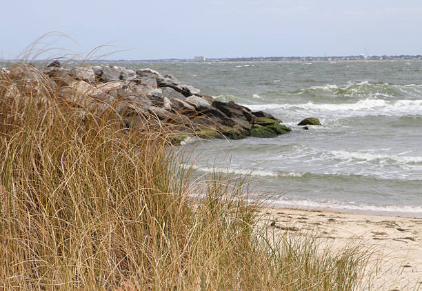 istock Beach of sand and grass 2239044342
