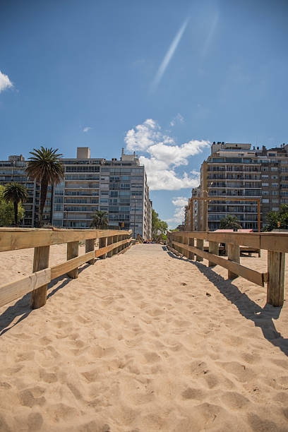 sand path on Montevideo beach in Uruguay walkway with buildings in the background access