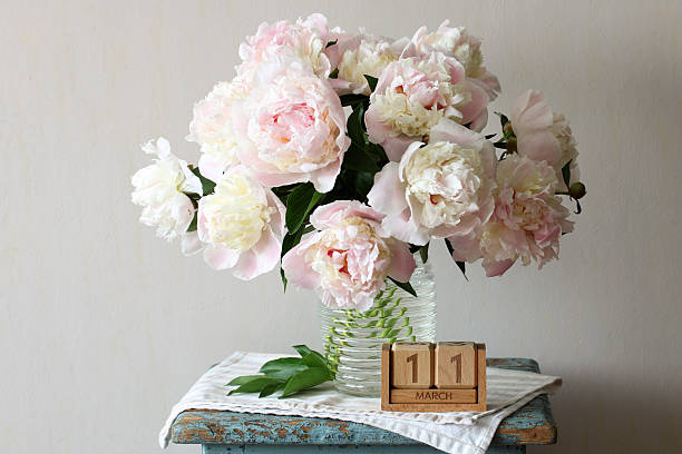 istock Pink peonies bouquet celebrating march 11 still life 2239045638