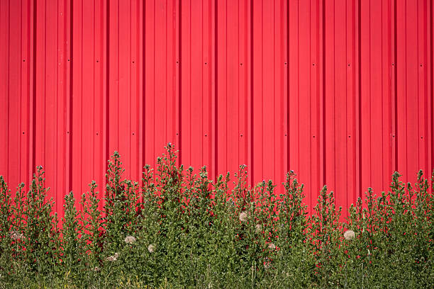istock Background with bright red wall and green plants 2239046696