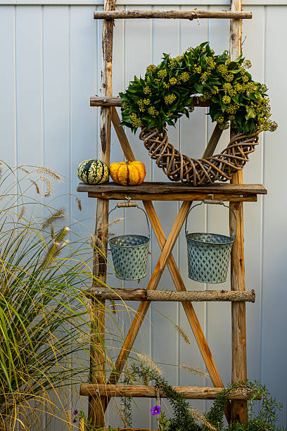 istock Fall garden decor with rustic ladder and pumpkins 2239047833