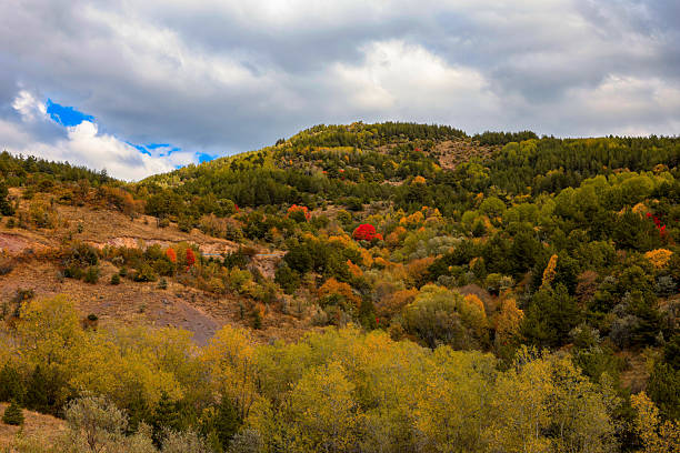 istock autumn landscape in the mountains 2239051361