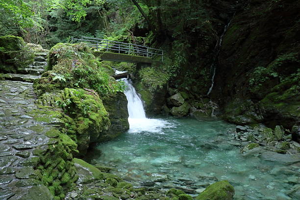 istock Hiryu Falls, Taking a break along the way, Summer (Yasui Valley, Kochi Prefecture) 2239062723