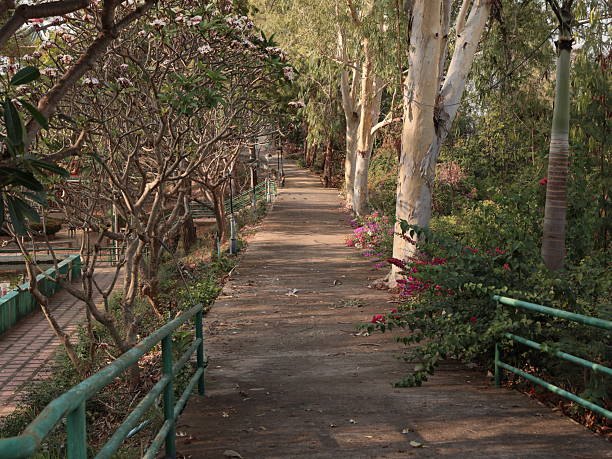 A serene pathway in a park is lined with lush trees and vibrant flowers, inviting peaceful strolls and relaxation